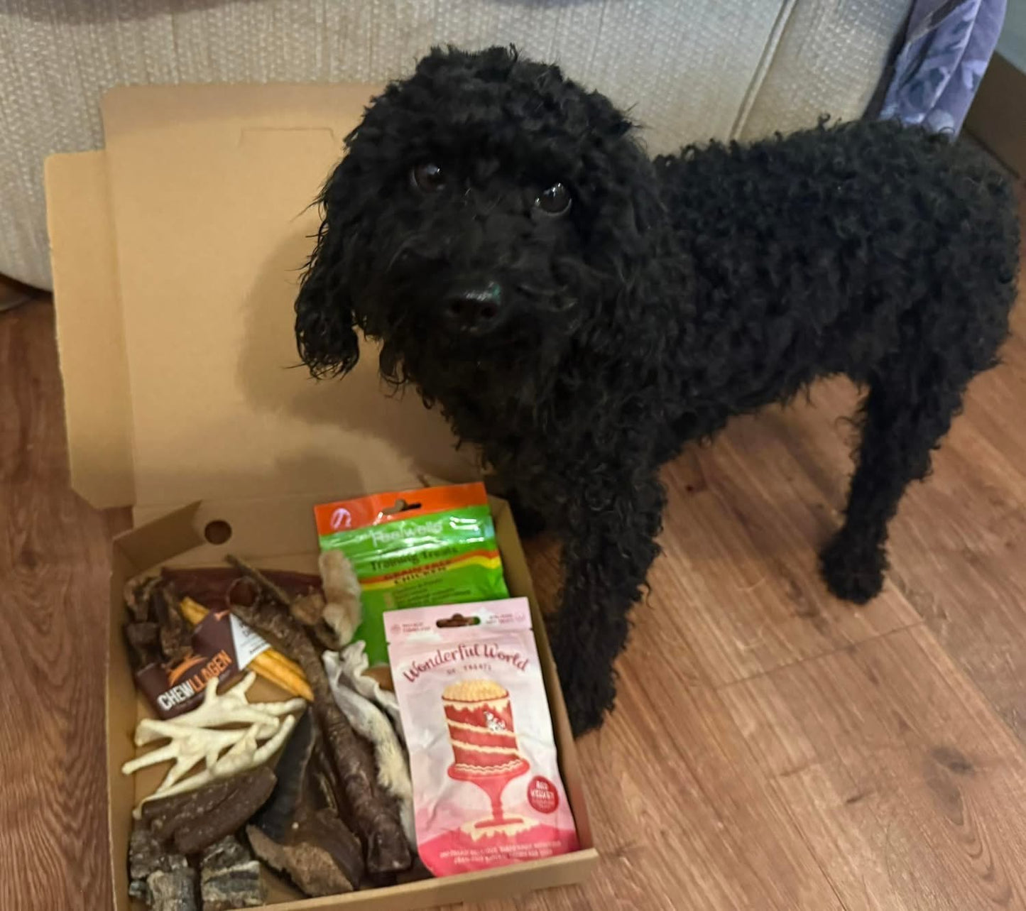 Small breed treat box