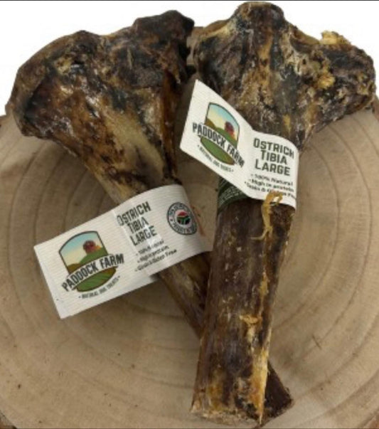 Ostrich tibia bones (large)