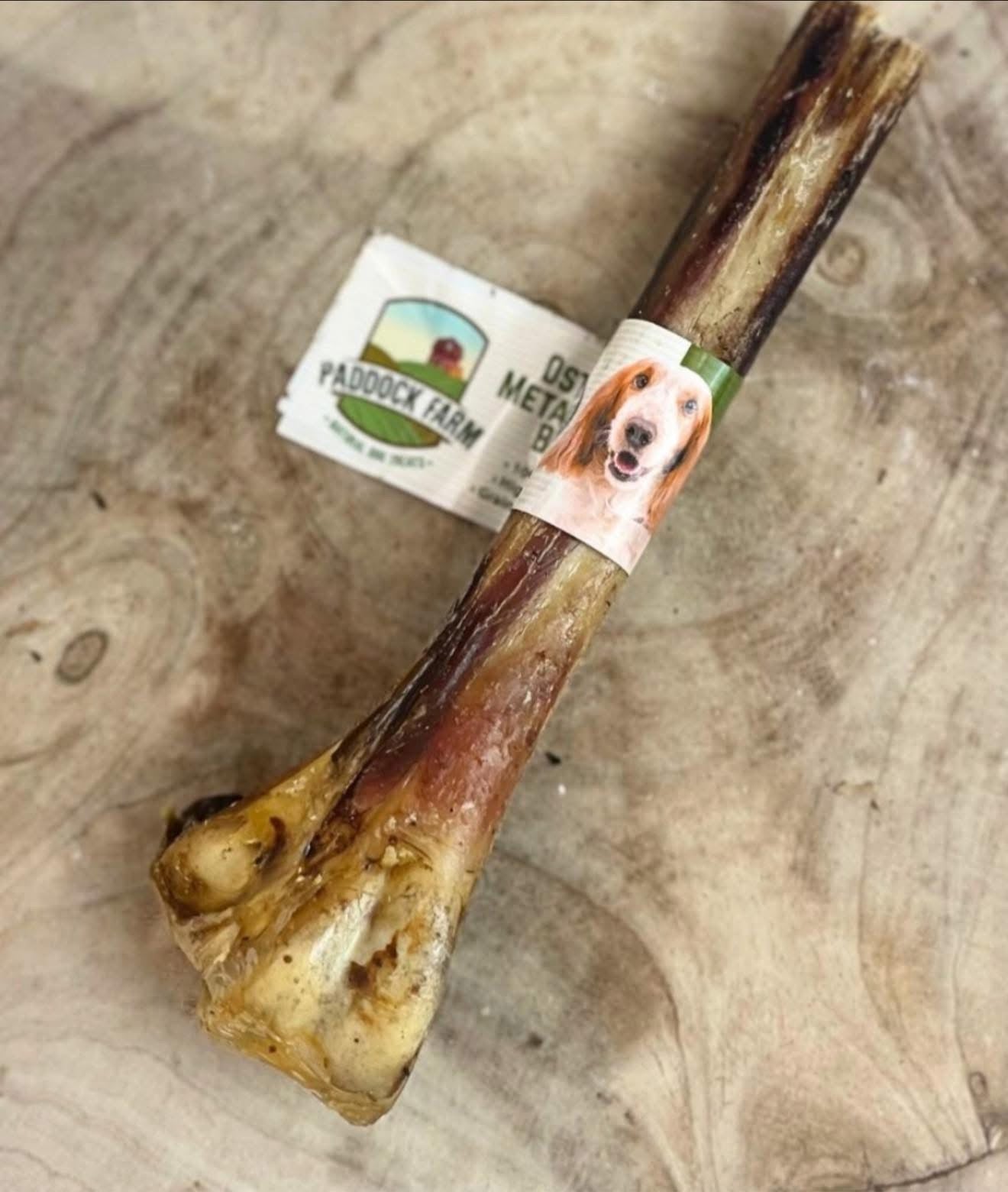 Ostrich metatarsus