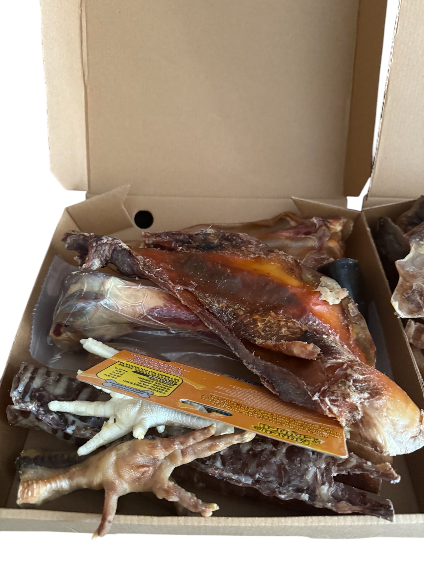 Xl chewer box